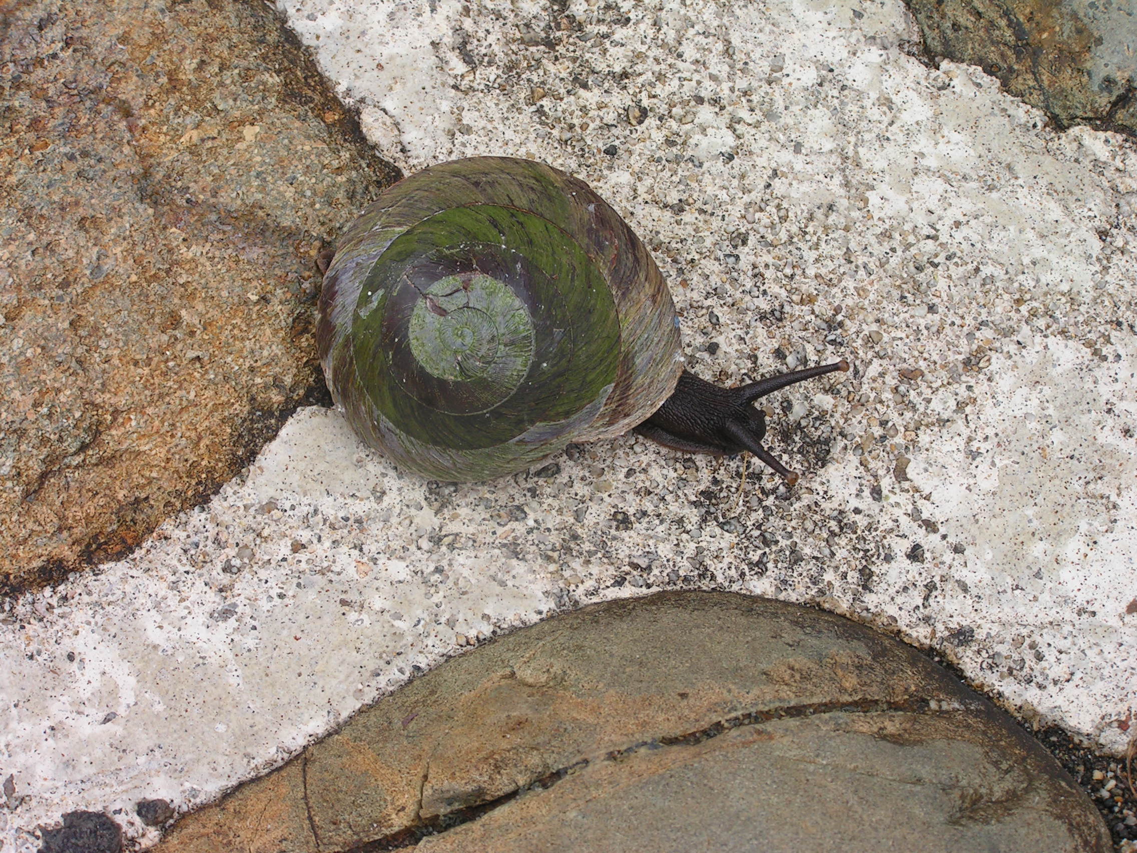 ./2005/Puerto Rico/Part 1/PICT0080.JPG